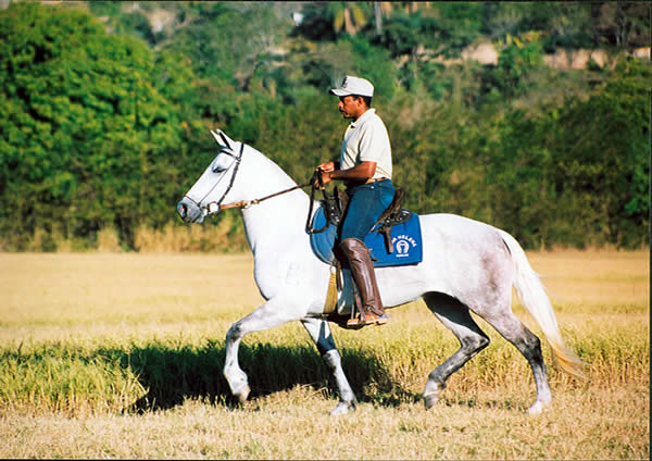 Sinira do Berma