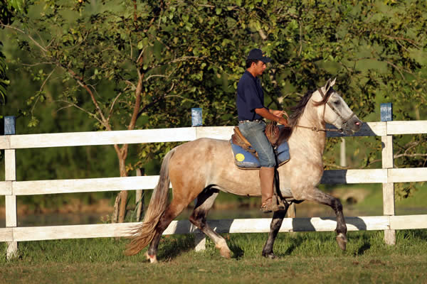 Maroto Itapun