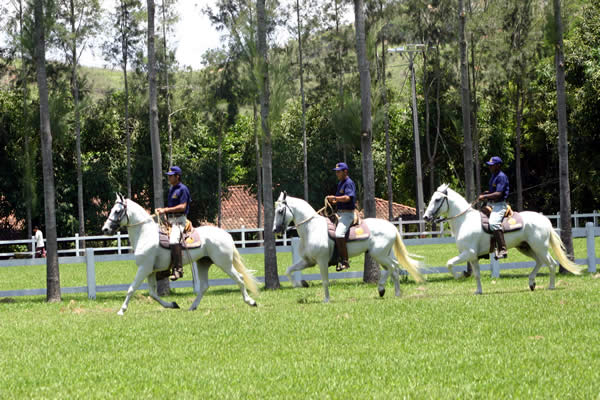 Cobertura Baluarte 

Alcntara