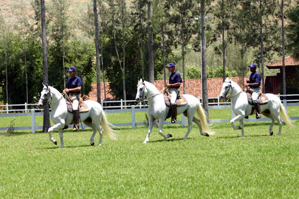 C

obertura Reserva Alcntara